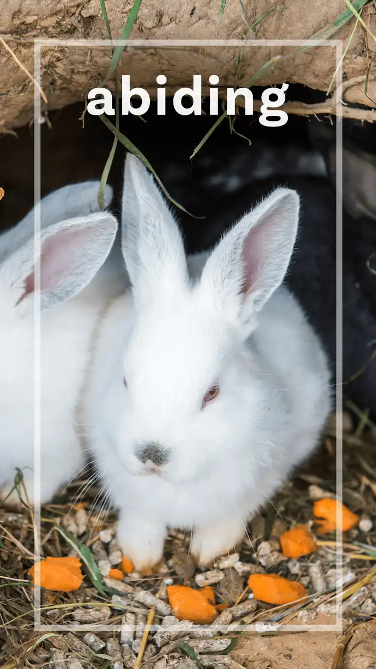 One Word Impact  Abiding