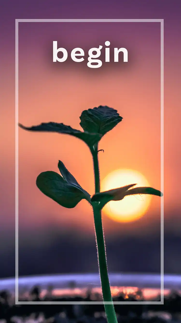 One Word Impact  Begin