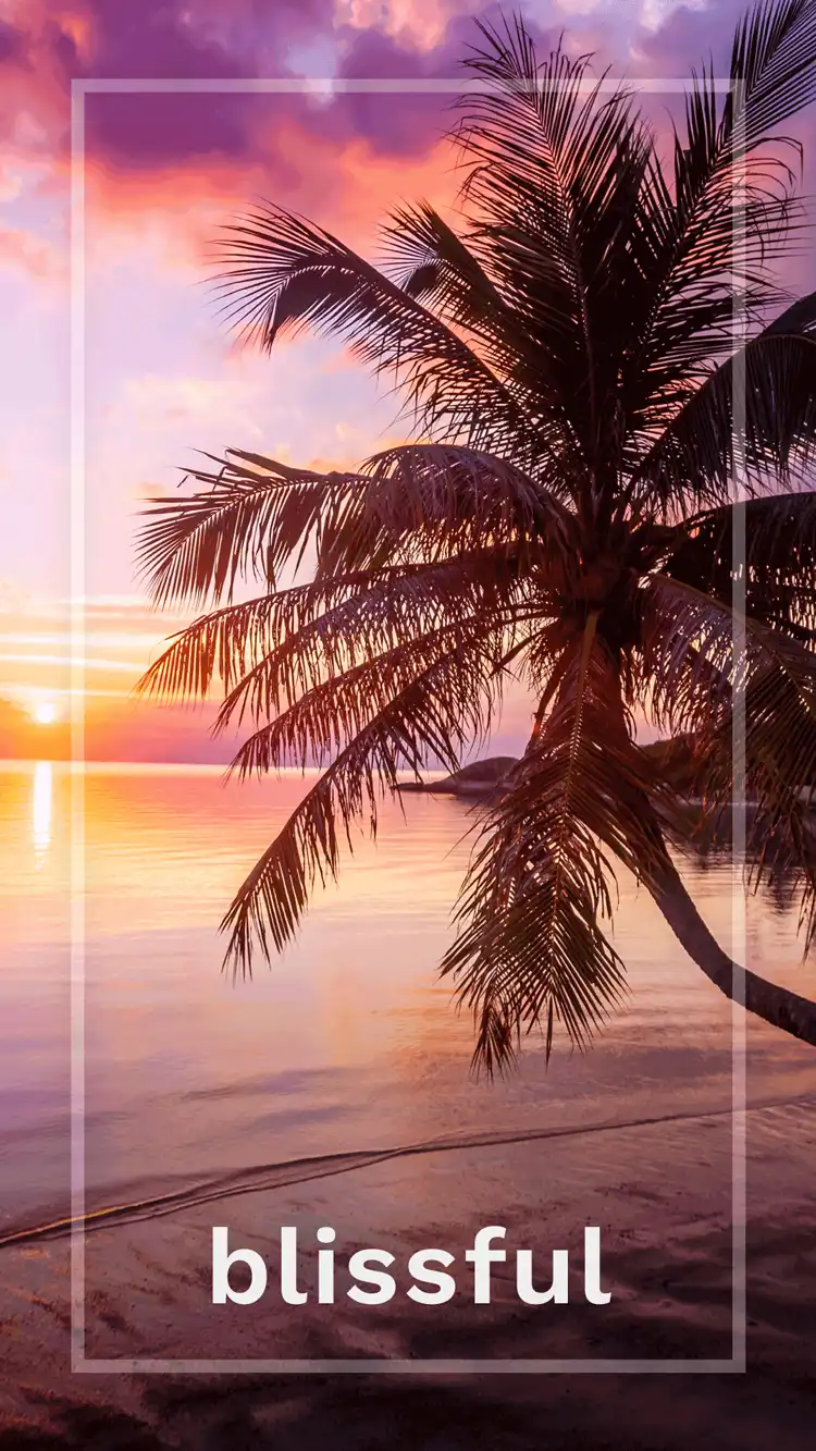 One Word Impact  Blissful