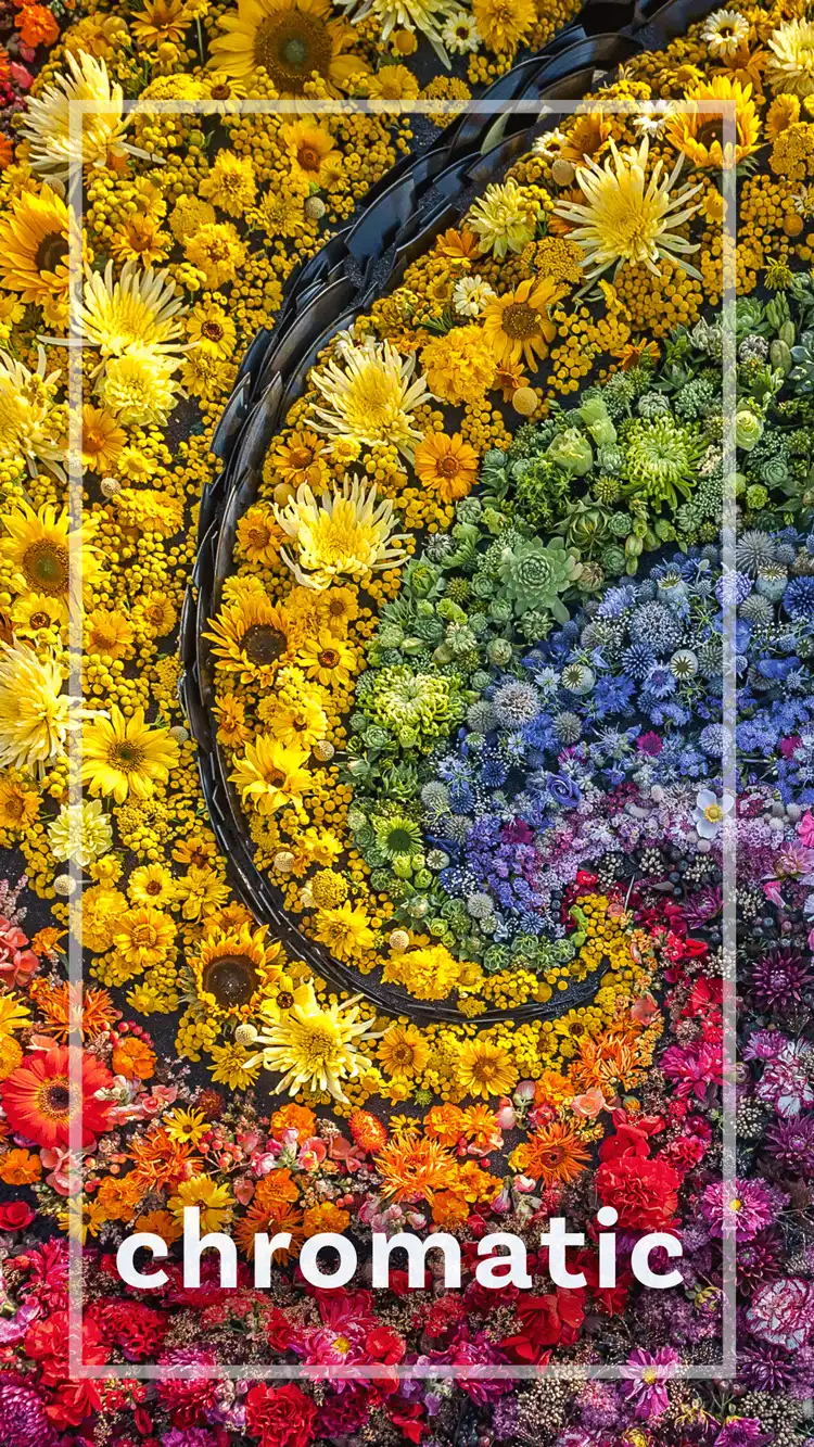 One Word Impact  Chromatic