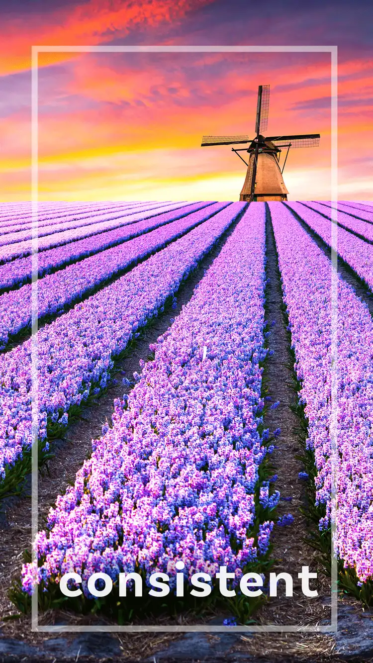 One Word Impact  Consistent