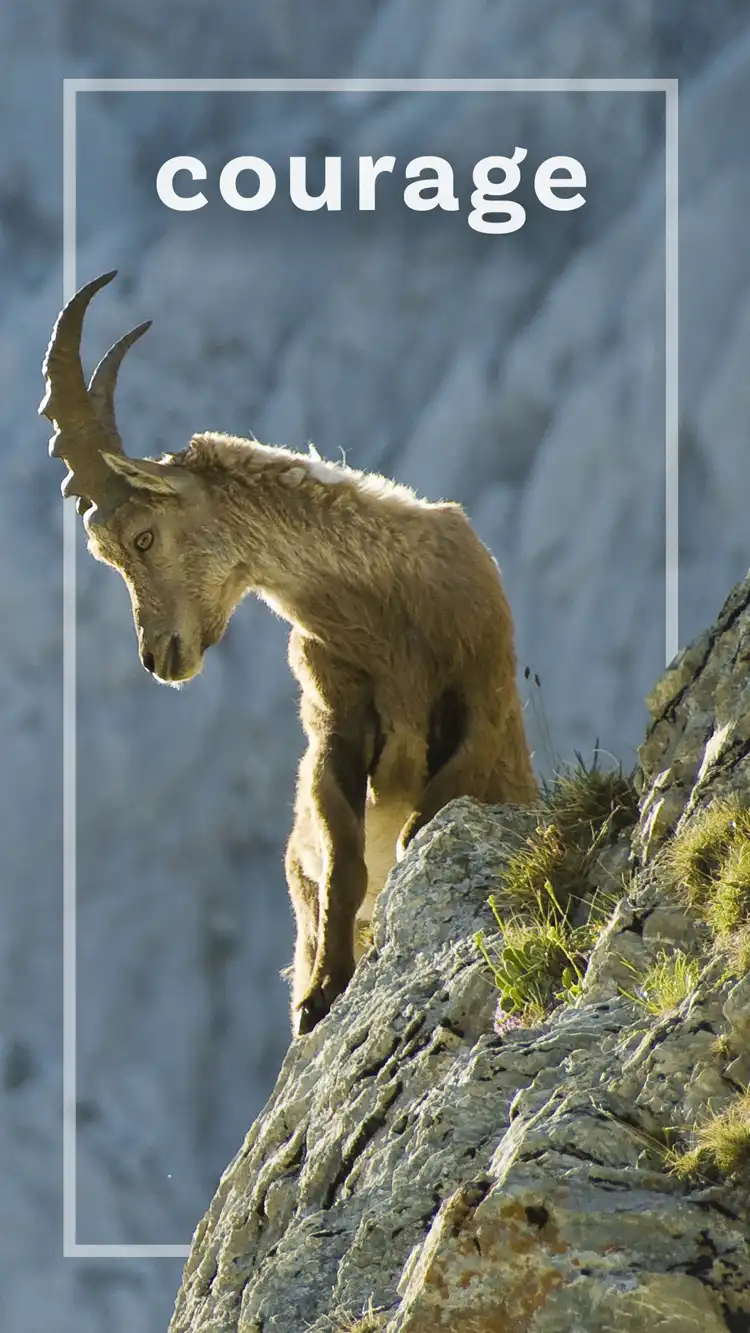 One Word Impact  Courage