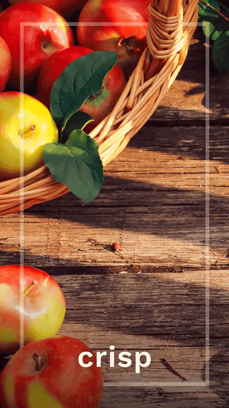 One Word Impact  Crisp