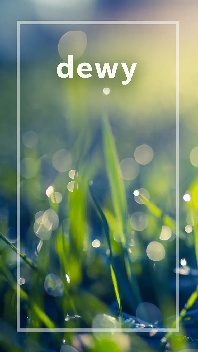 One Word Impact  Dewy