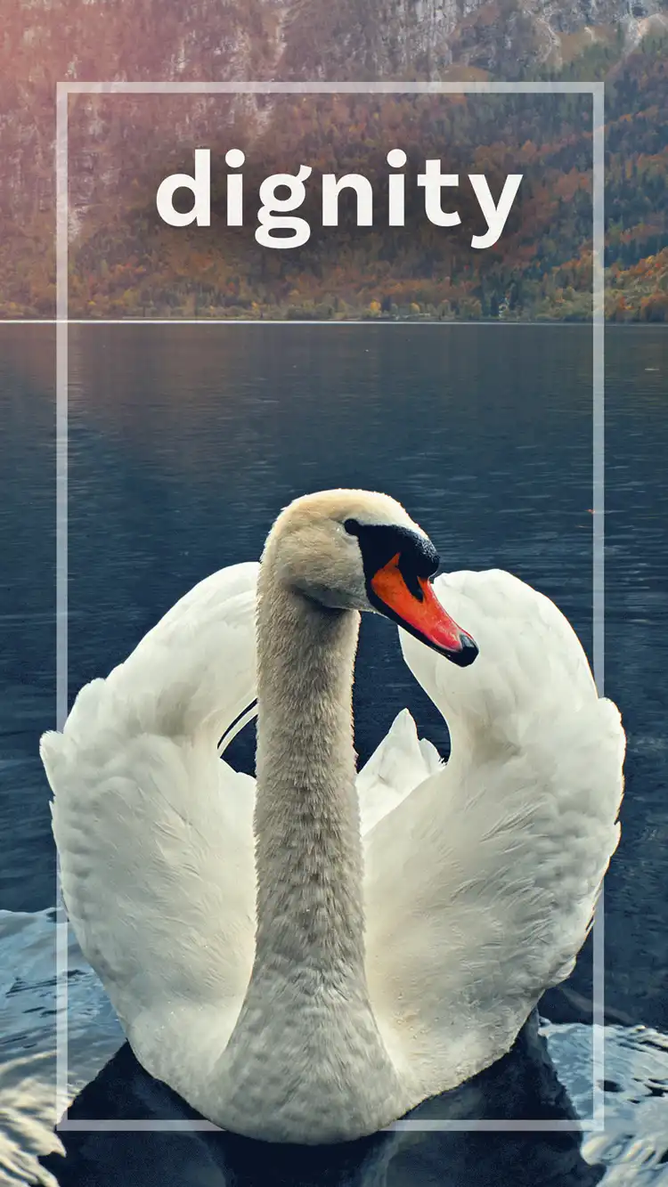 One Word Impact  Dignity