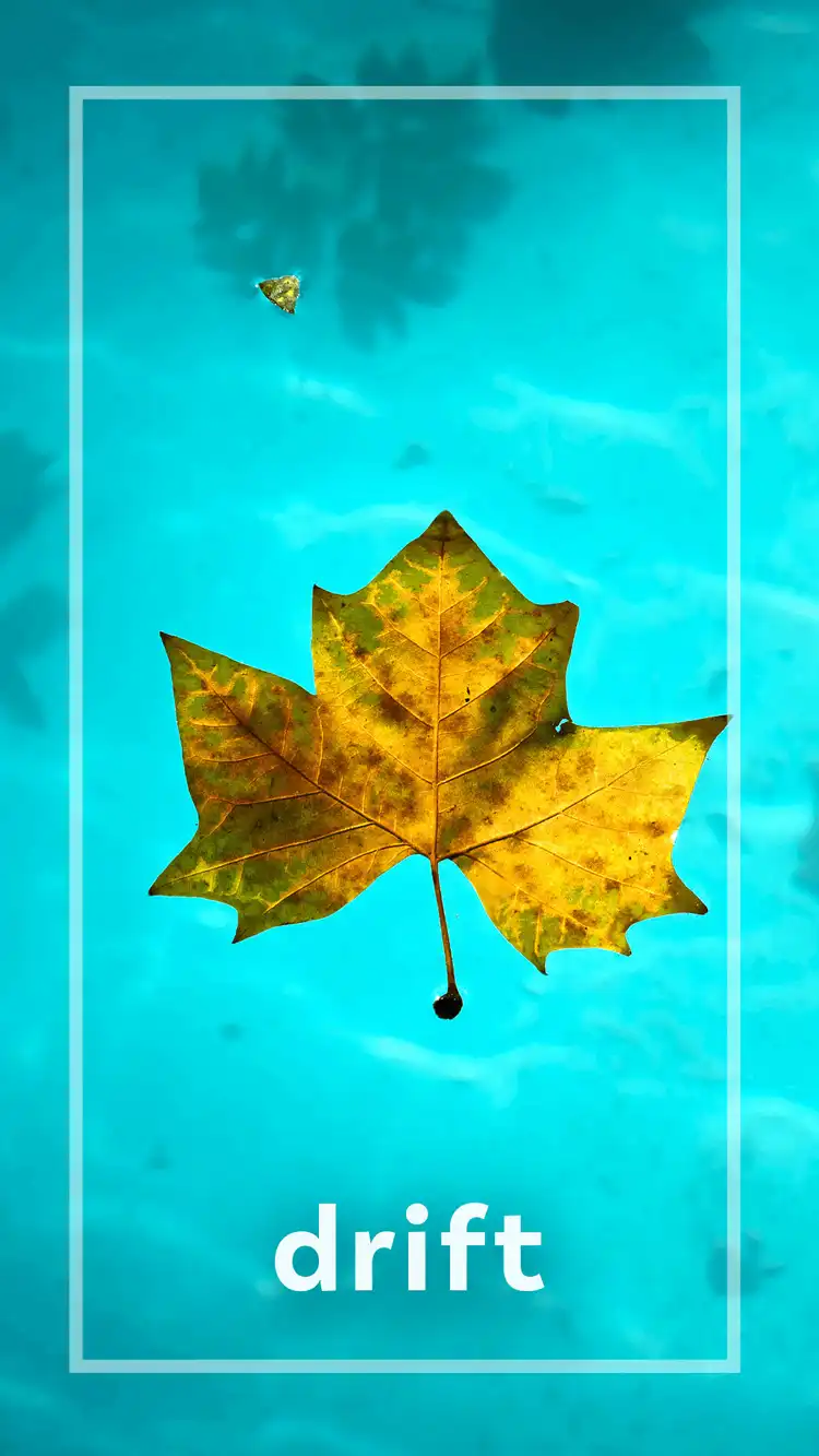 One Word Impact  Drift