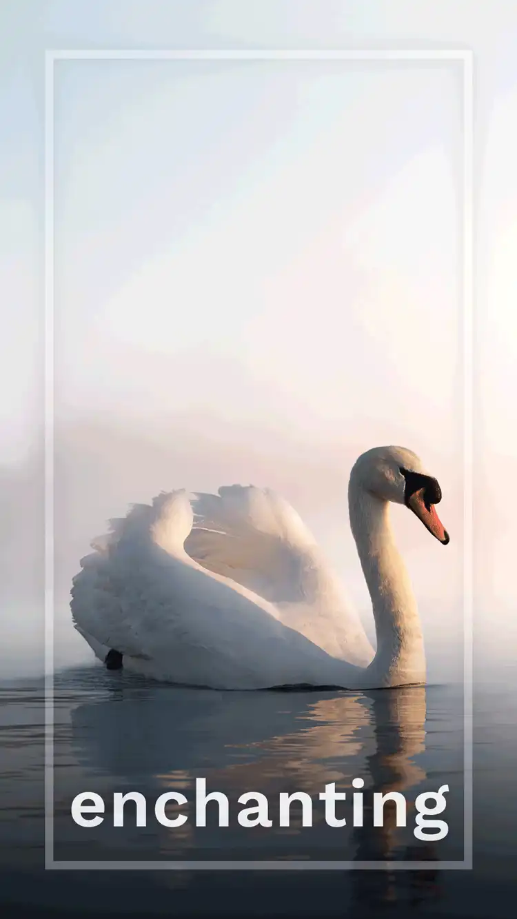 One Word Impact  Enchanting