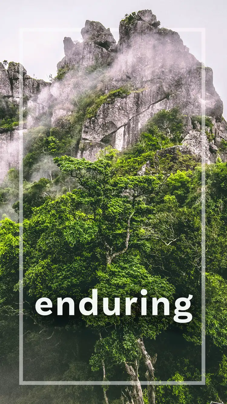 One Word Impact  Enduring