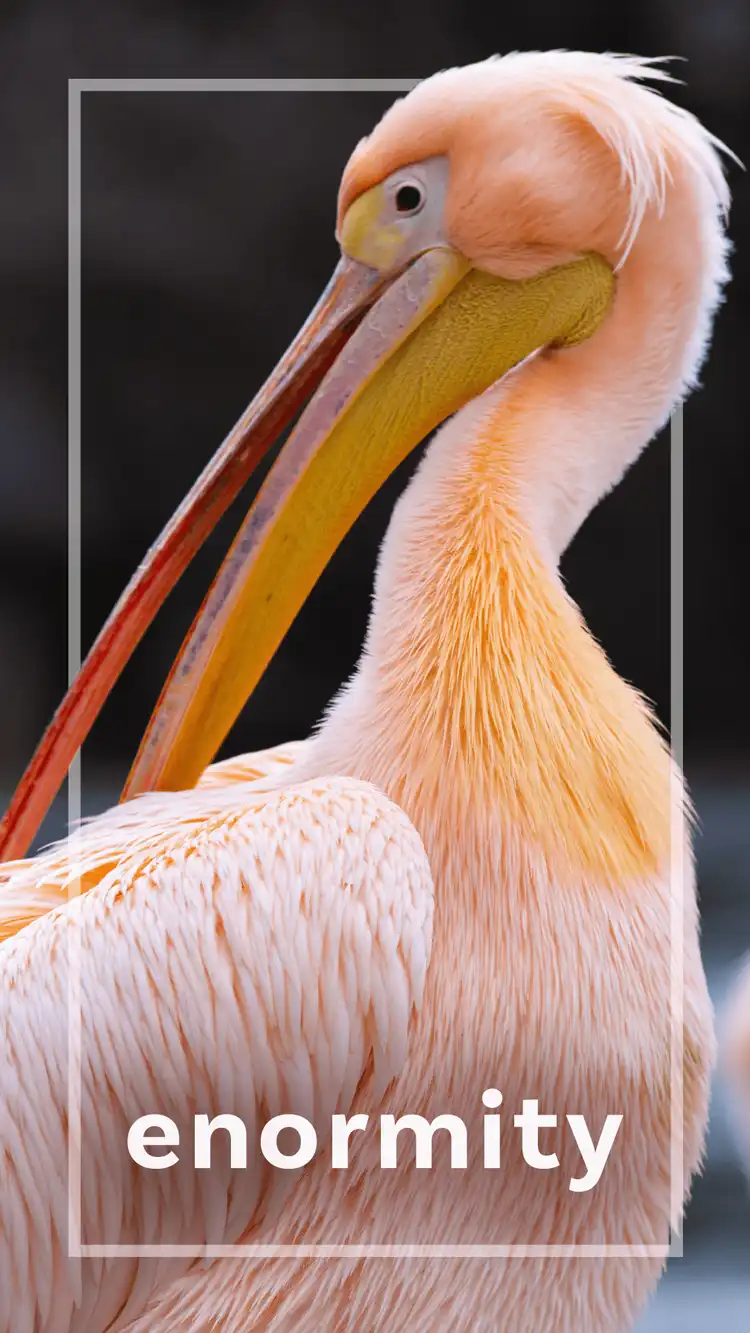 One Word Impact  Enormity