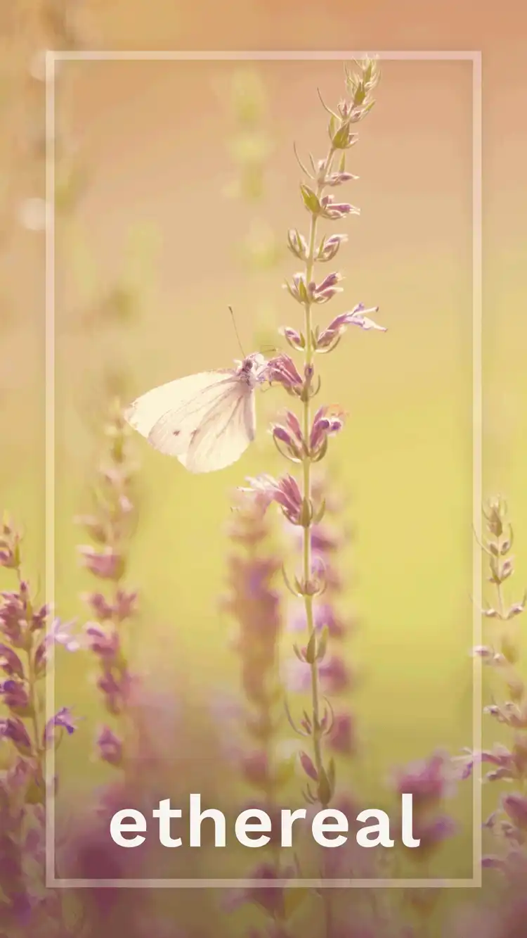 One Word Impact  Ethereal