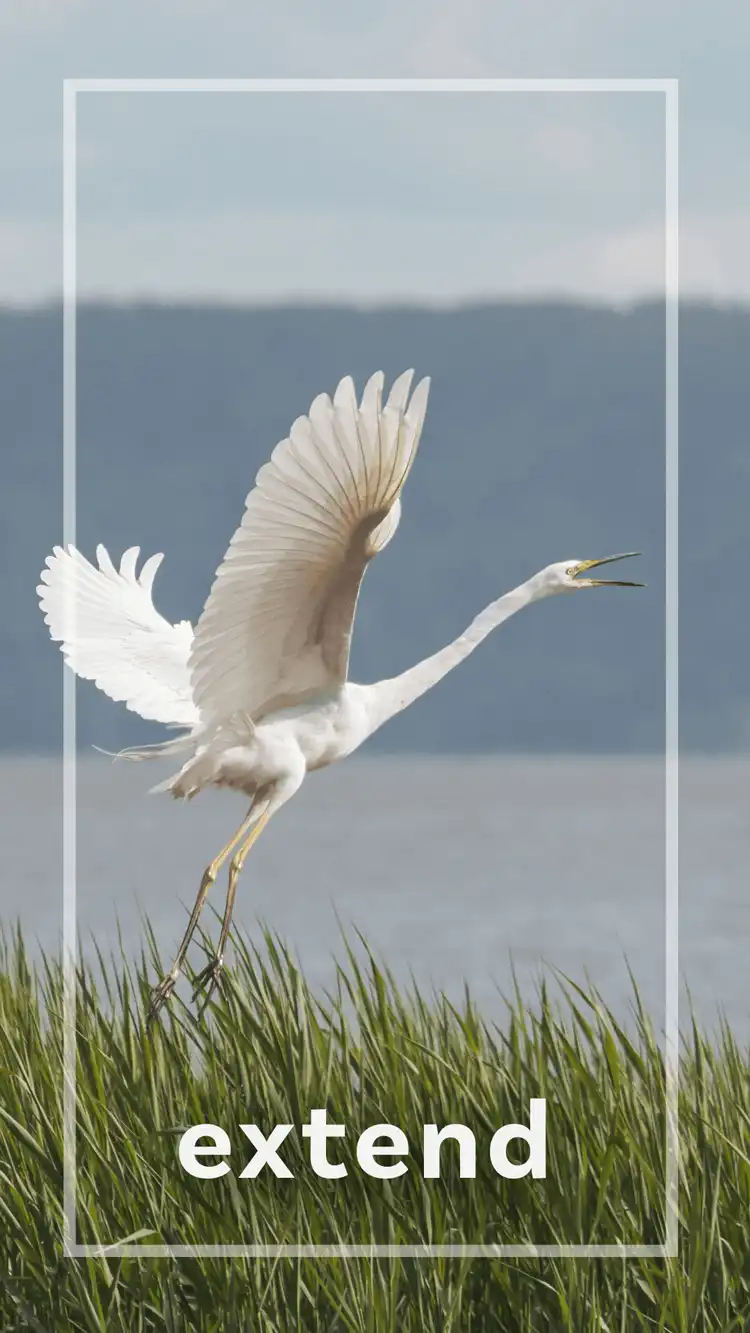 One Word Impact  Extend