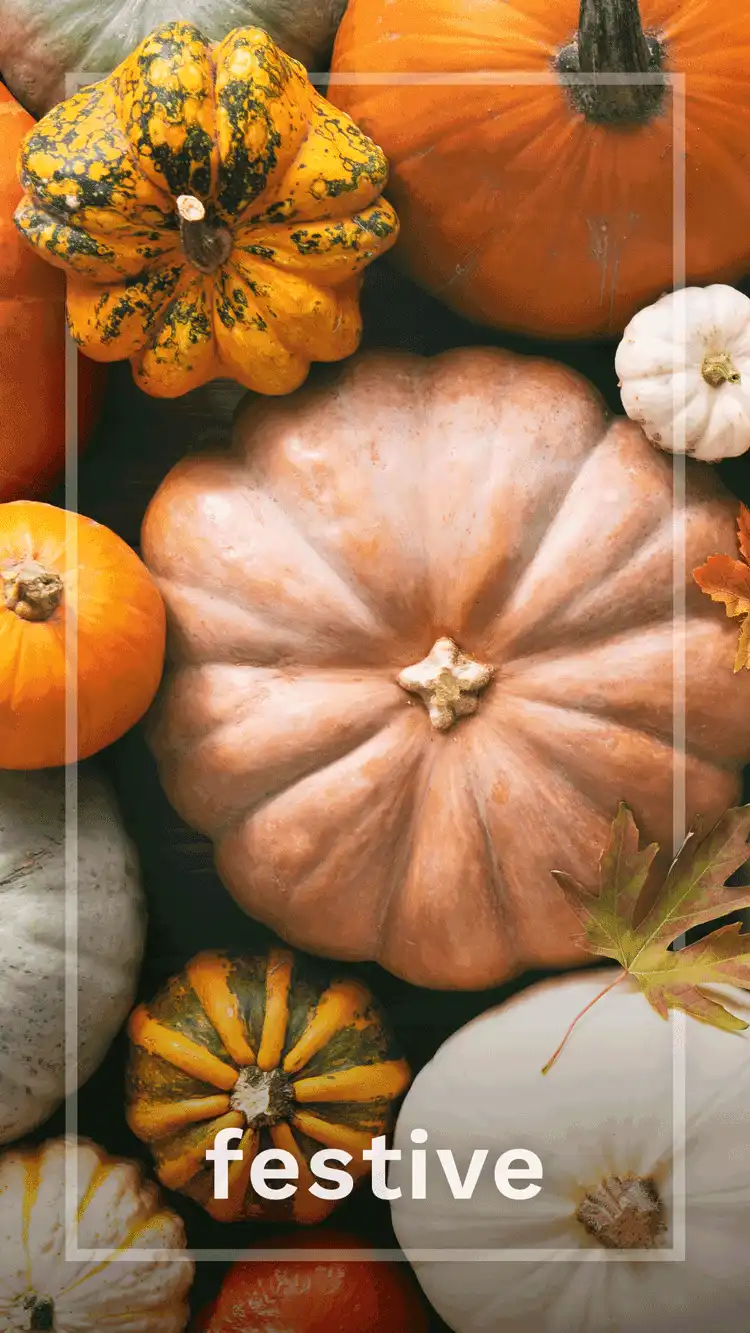 One Word Impact  Festive