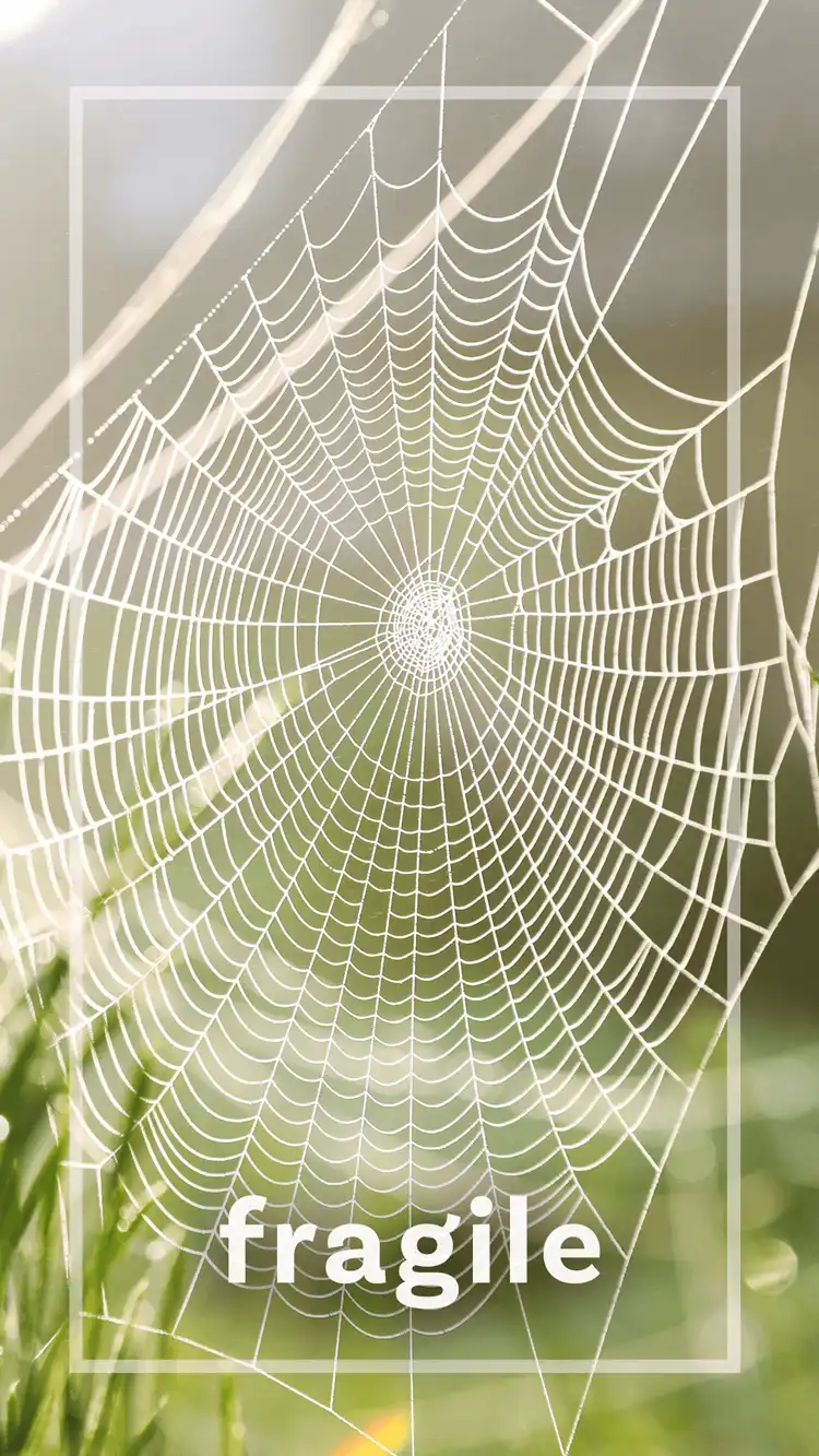 One Word Impact  Fragile