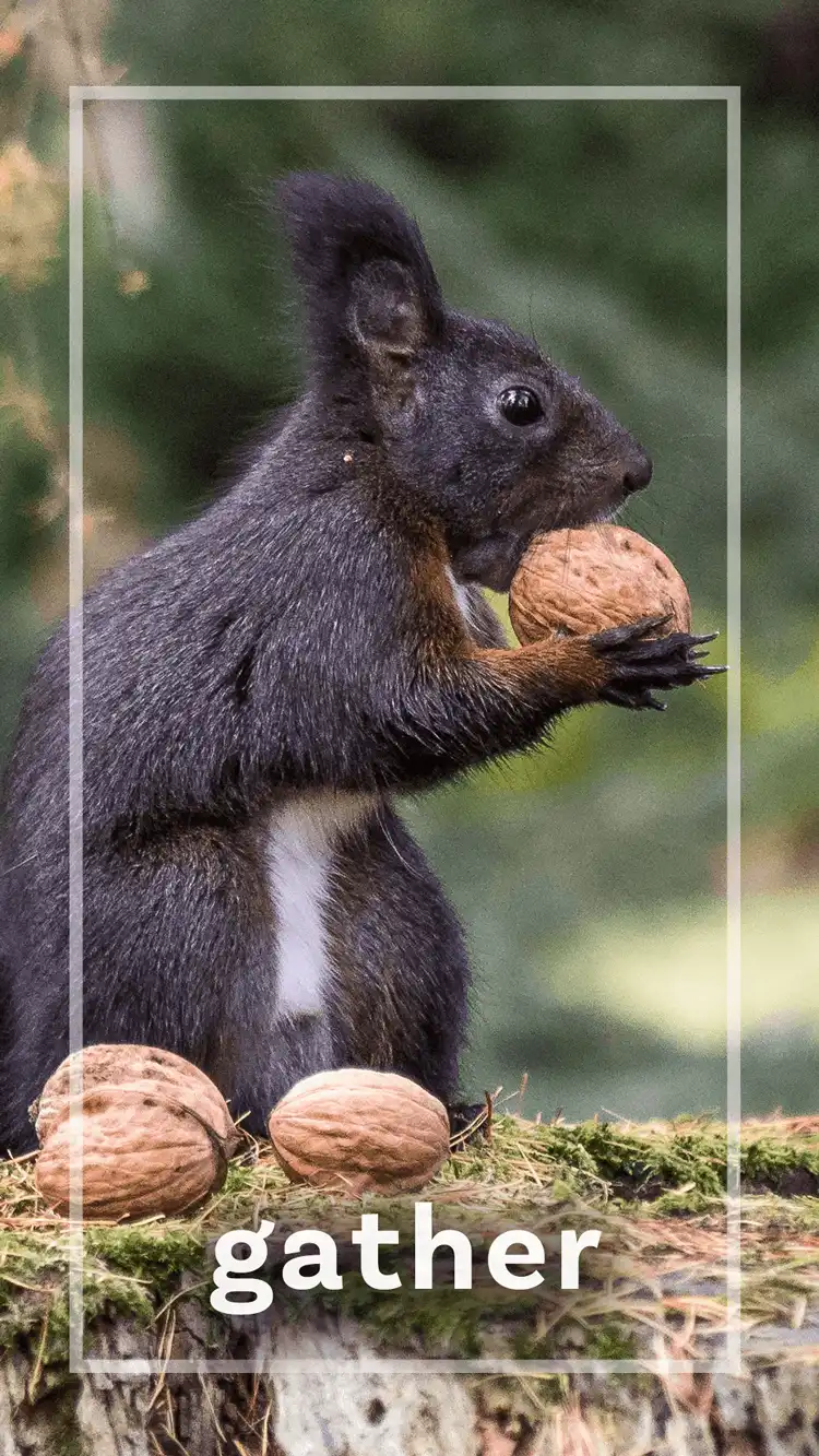 One Word Impact  Gather