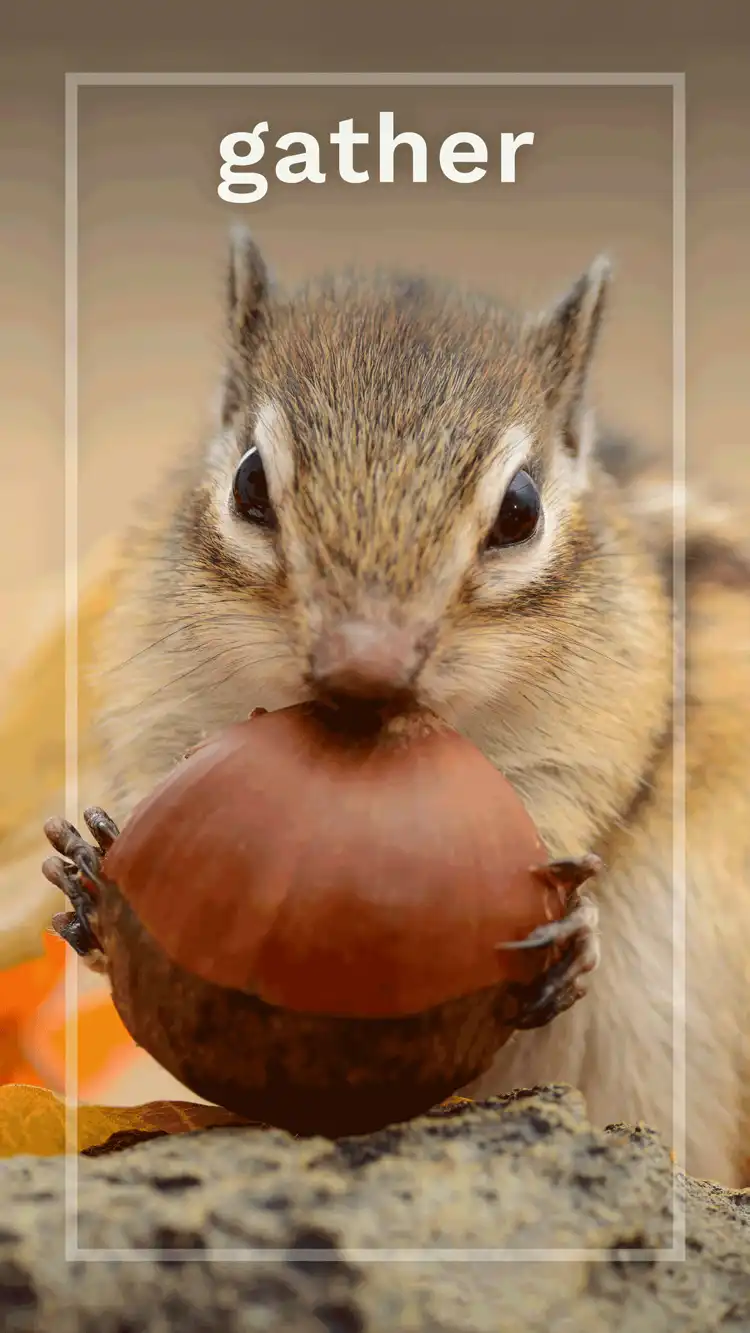 One Word Impact  Gather