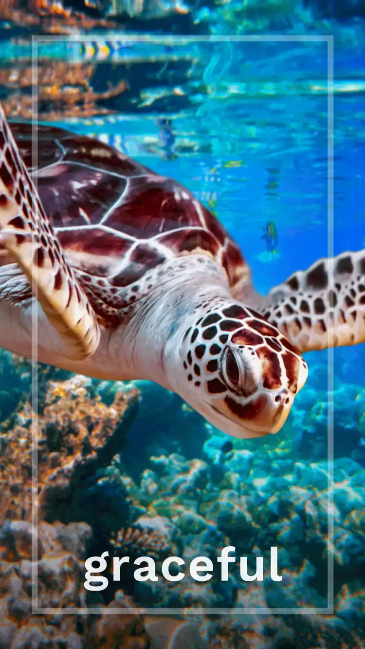 One Word Impact  Graceful