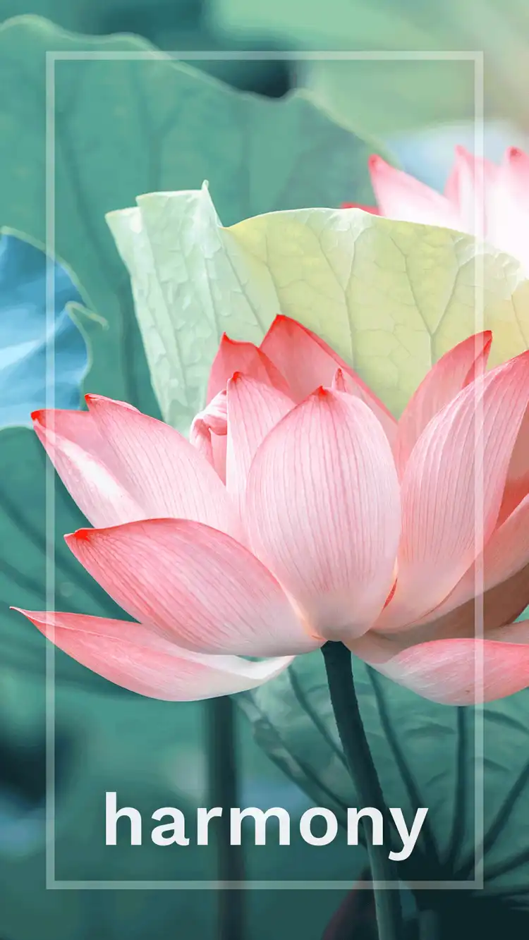 One Word Impact  Harmony