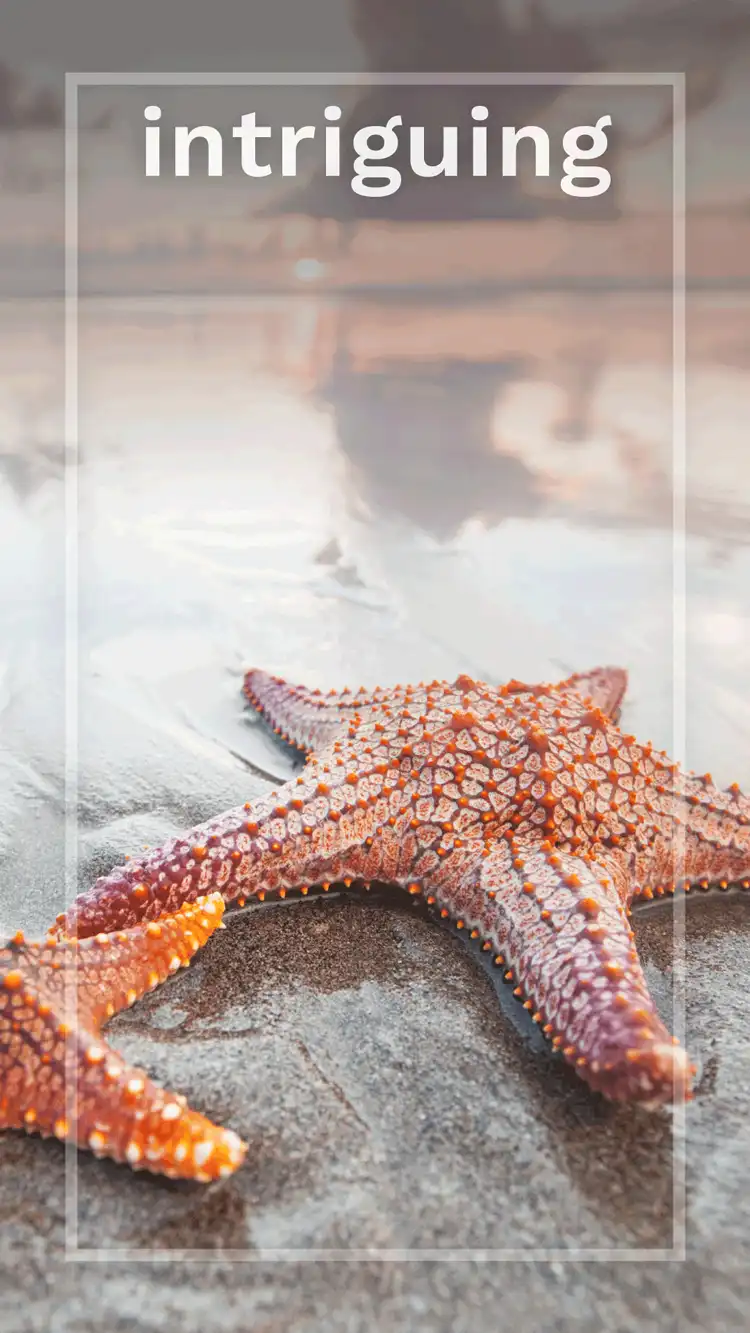 One Word Impact  Intriguing