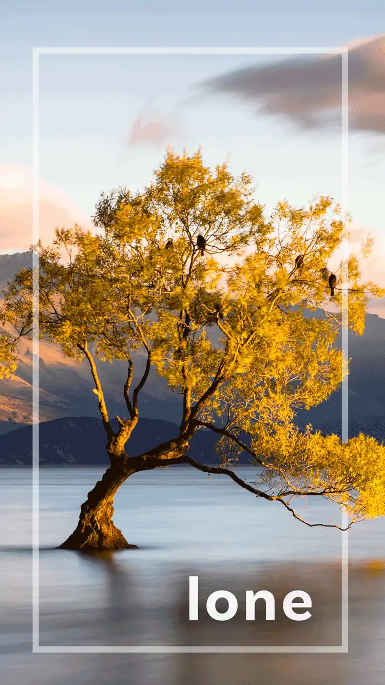 One Word Impact  Lone