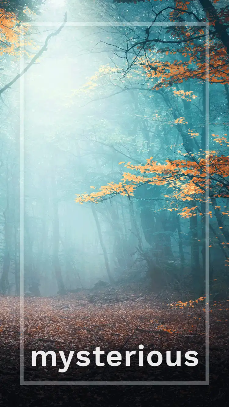 One Word Impact  Mysterious