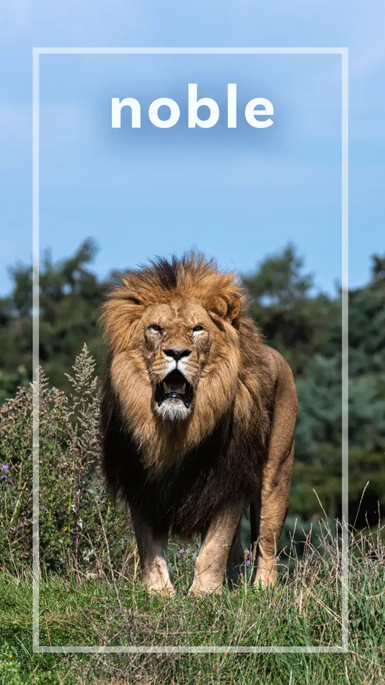 One Word Impact  Noble