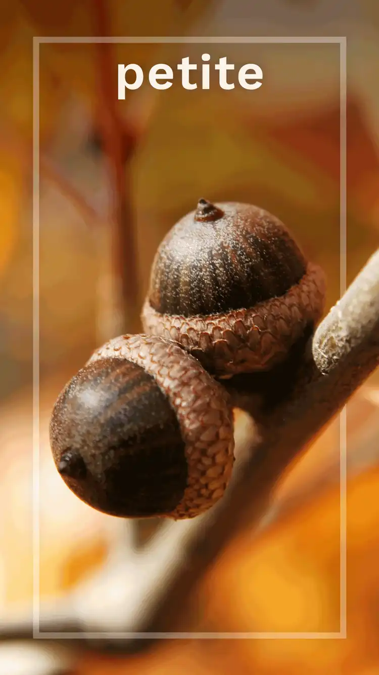 One Word Impact  Petite