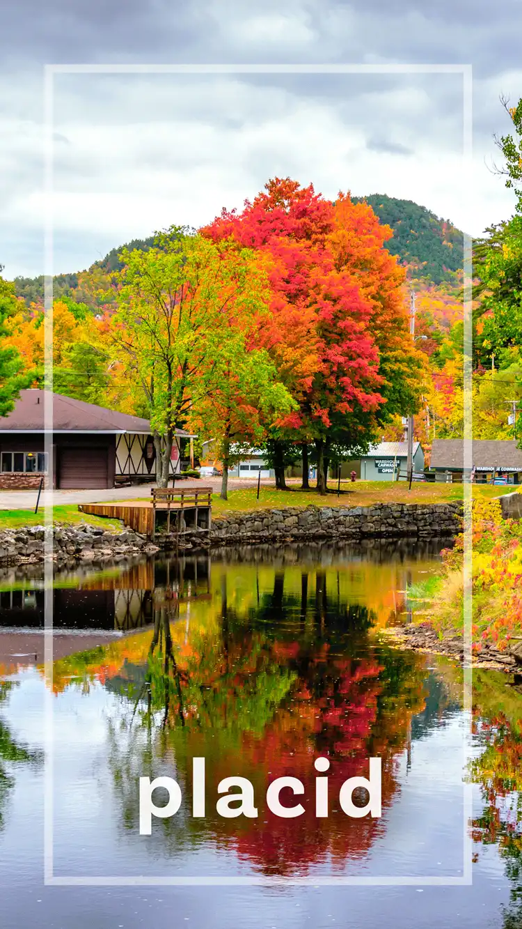 One Word Impact  Placid