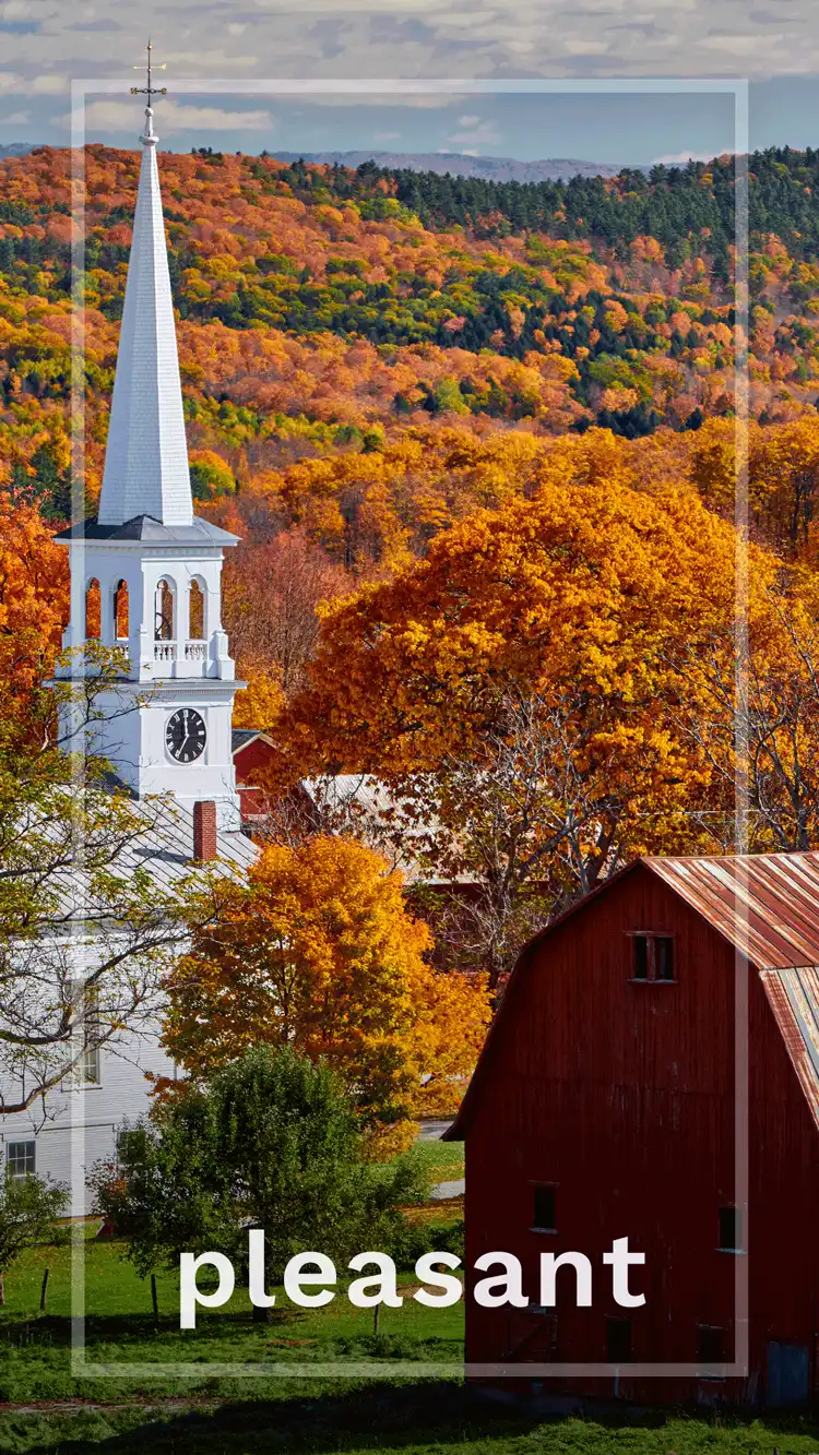 One Word Impact  Pleasant