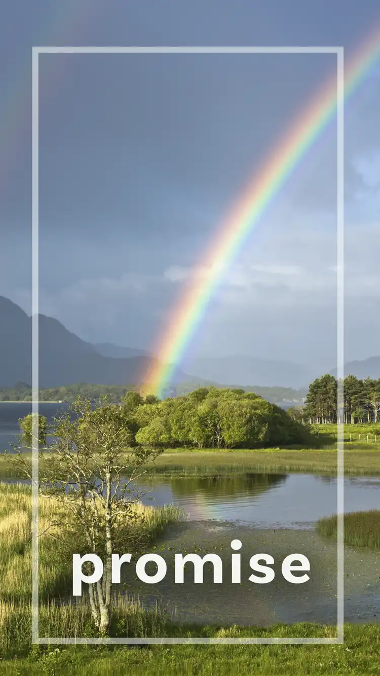 One Word Impact  Promise