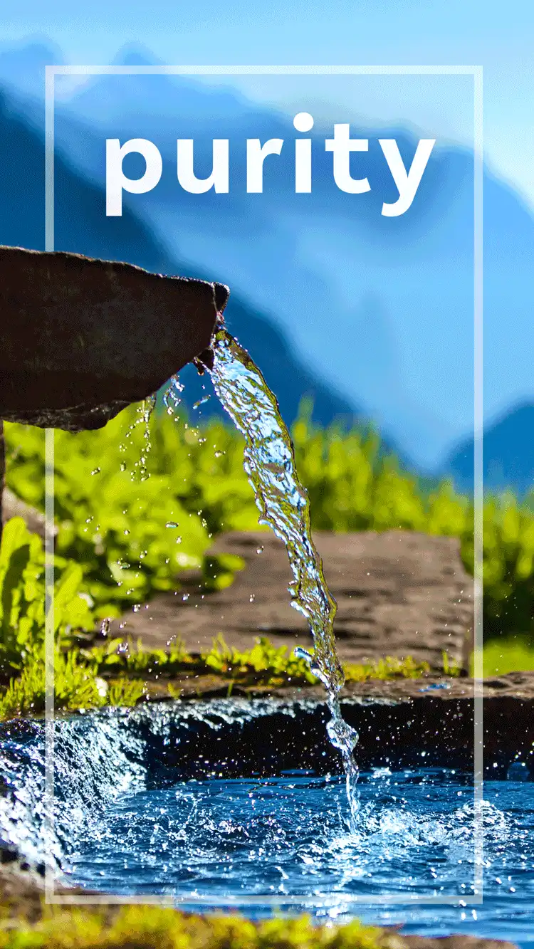 One Word Impact  Purity