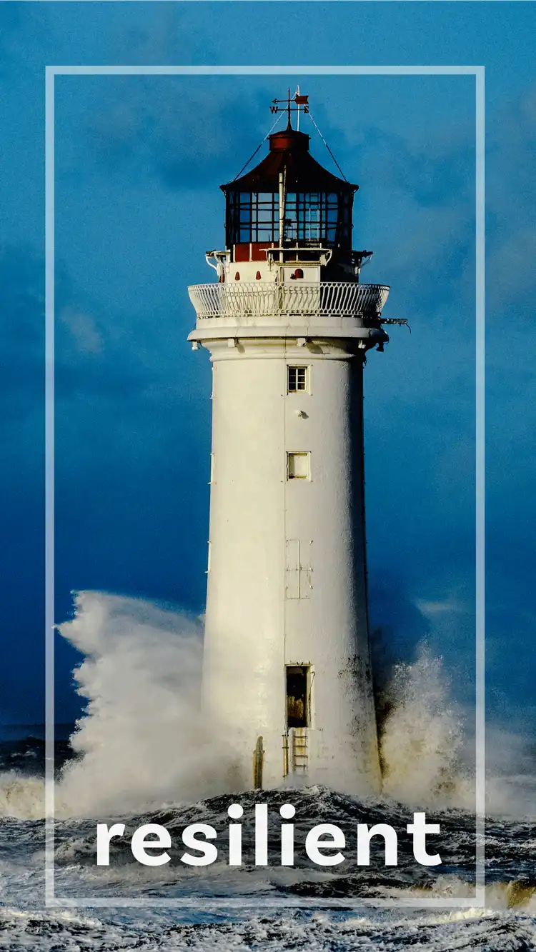 One Word Impact  Resilient