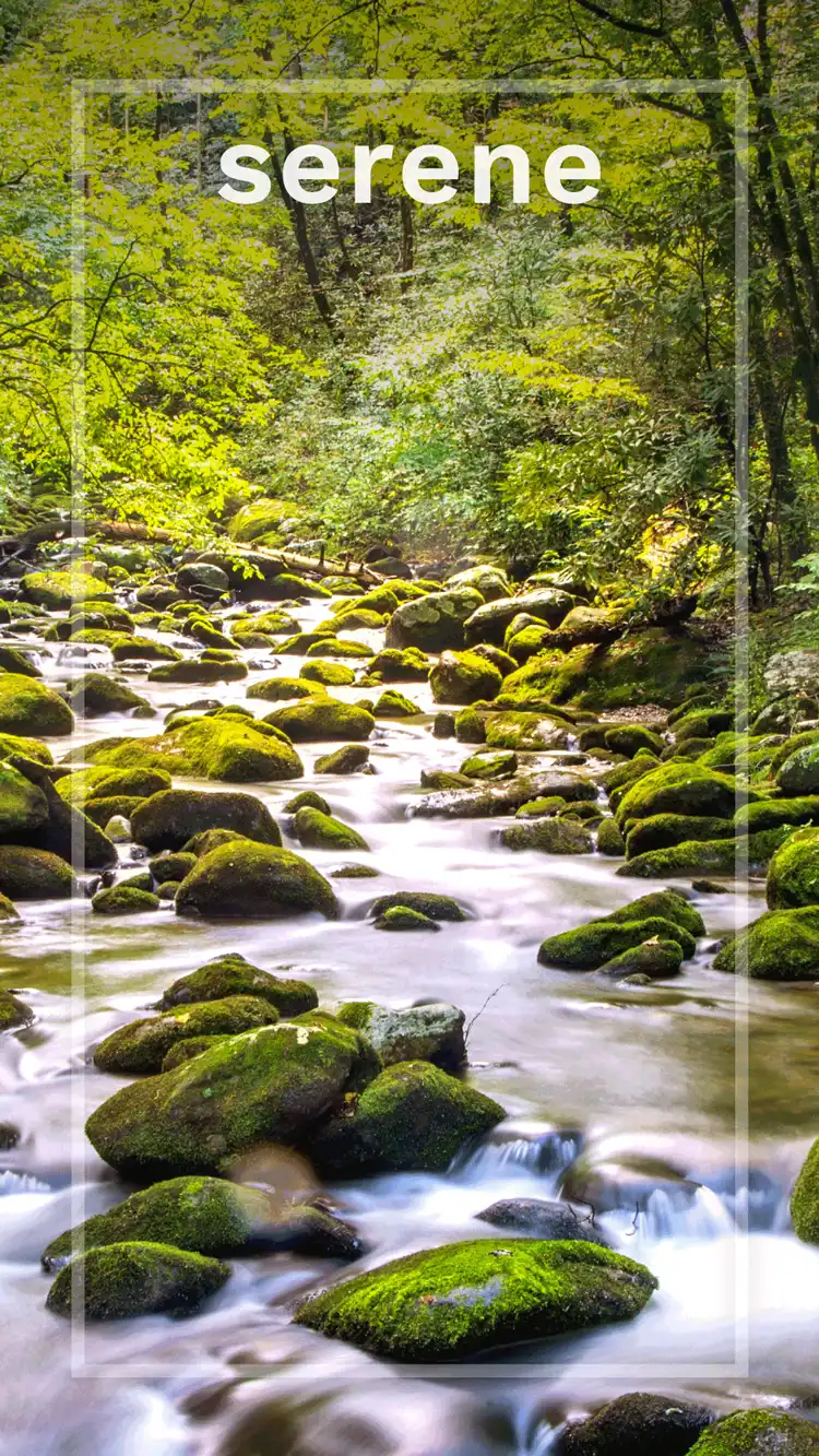 One Word Impact  Serene