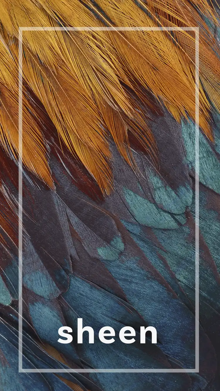 One Word Impact  Sheen