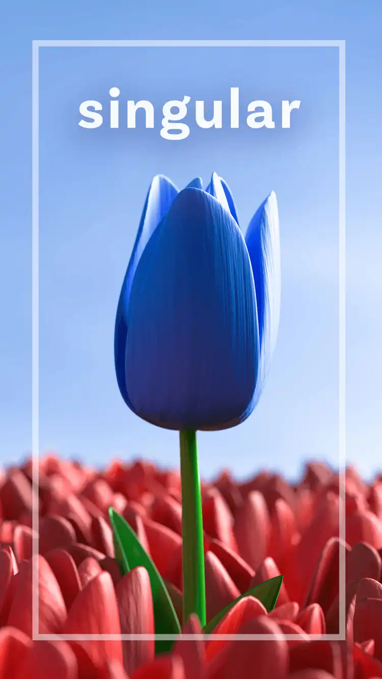 One Word Impact  Singular