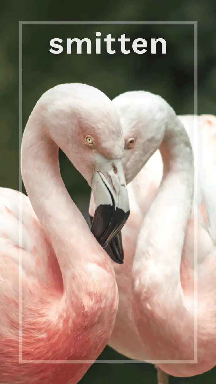 One Word Impact  Smitten