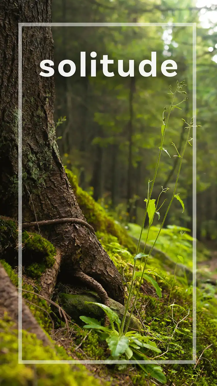 One Word Impact  Solitude