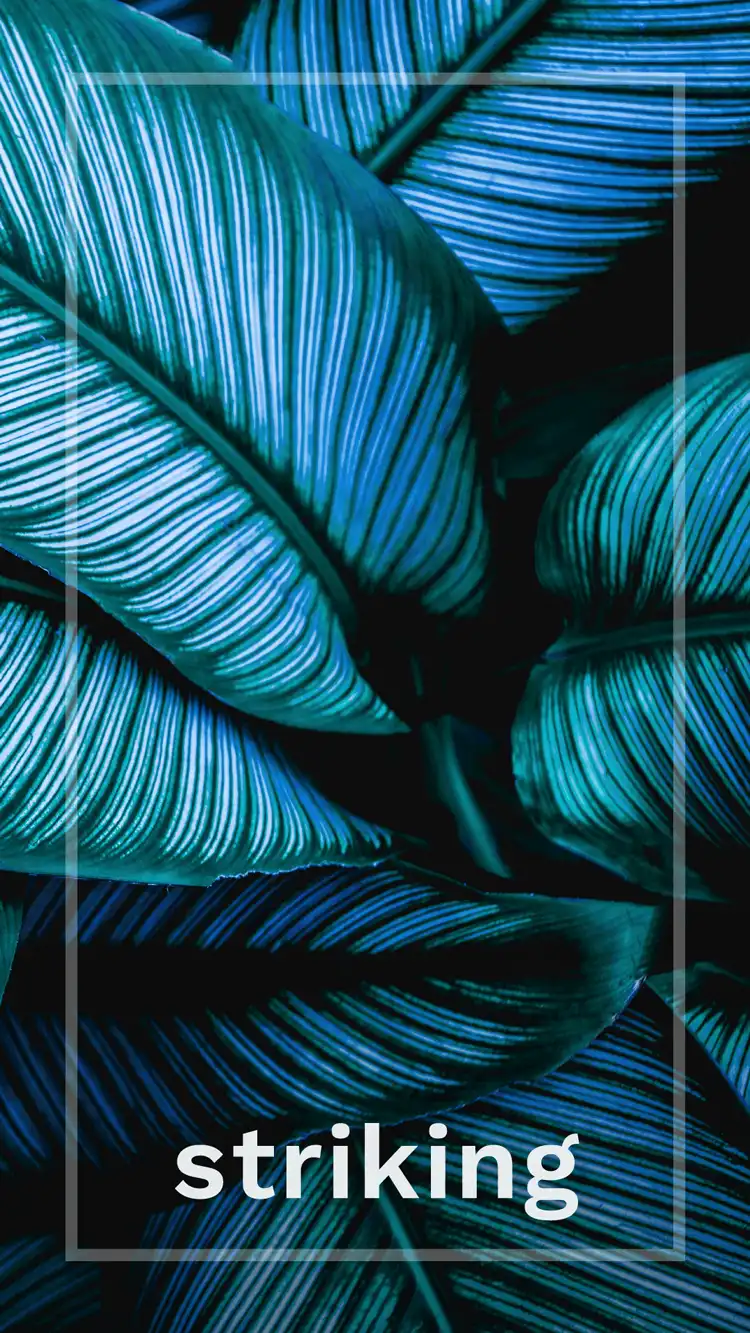 One Word Impact  Striking