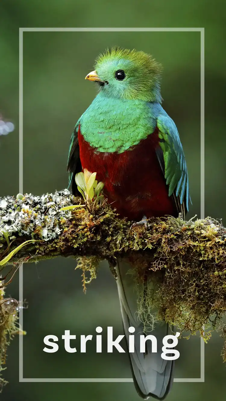 One Word Impact  Striking