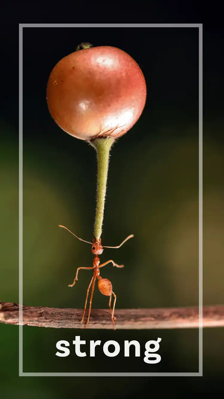 One Word Impact  Strong