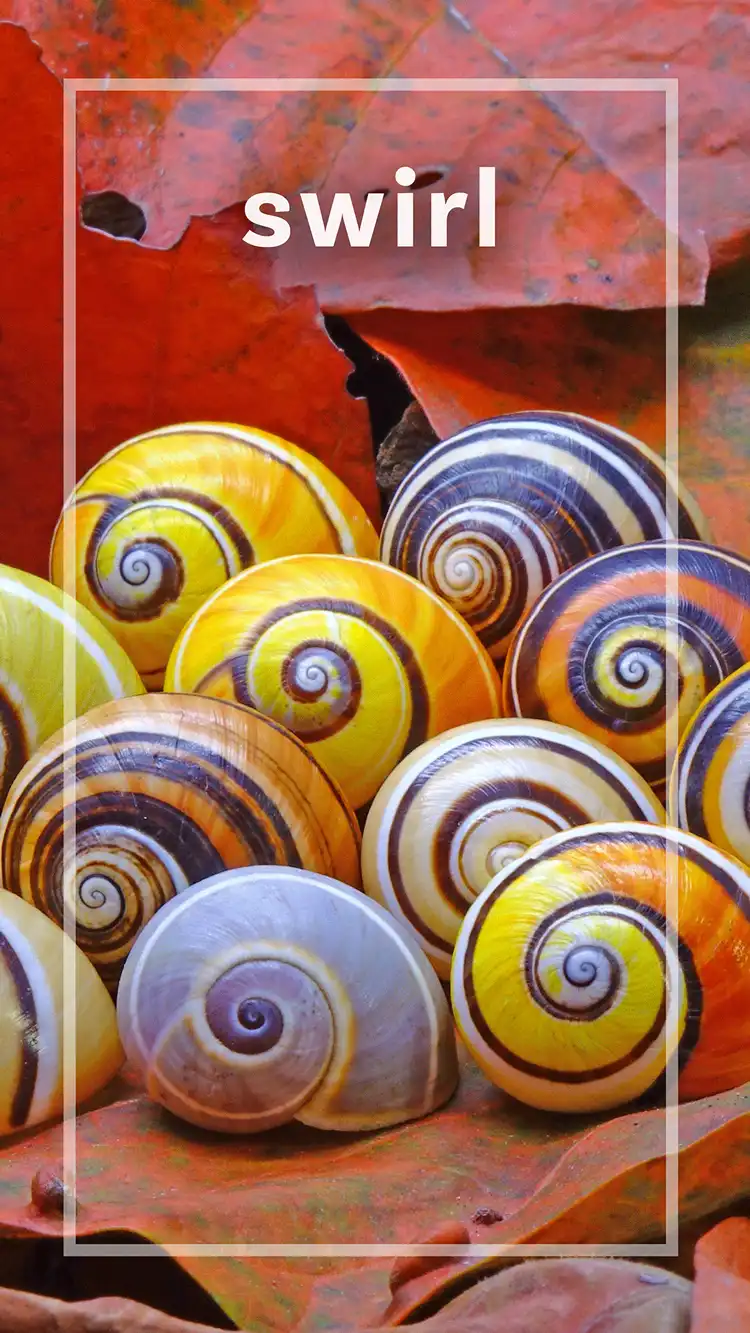 One Word Impact  Swirl