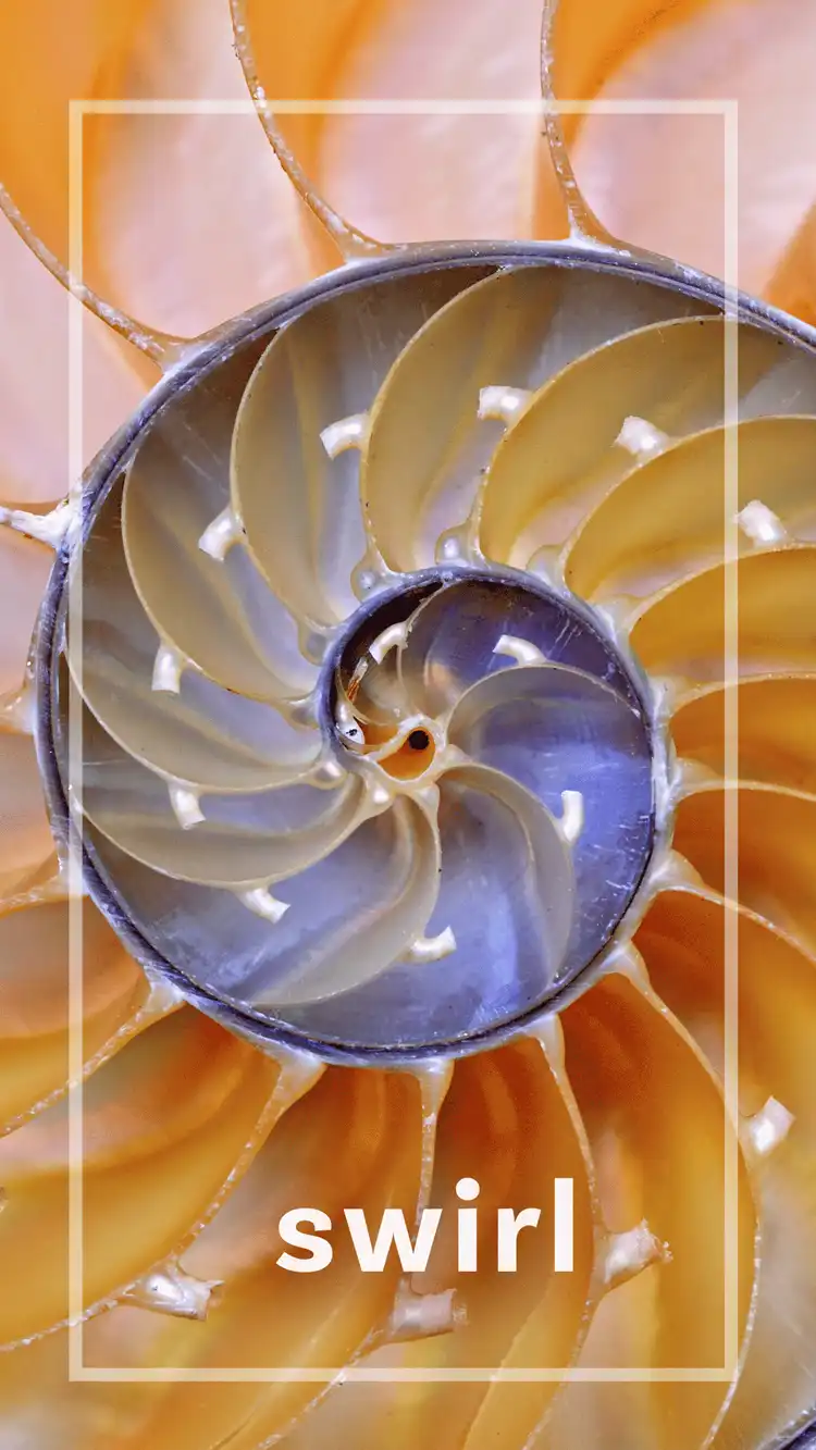 One Word Impact  Swirl