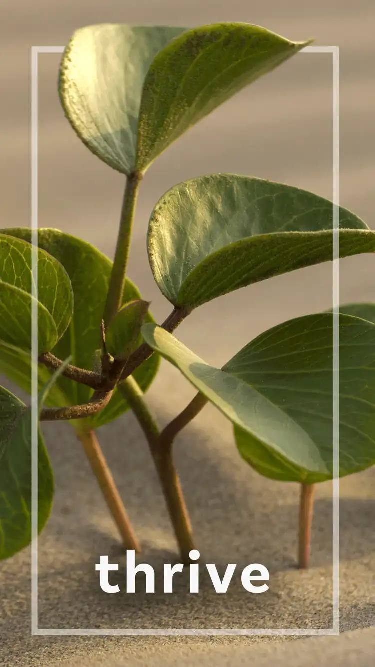 One Word Impact  Thrive