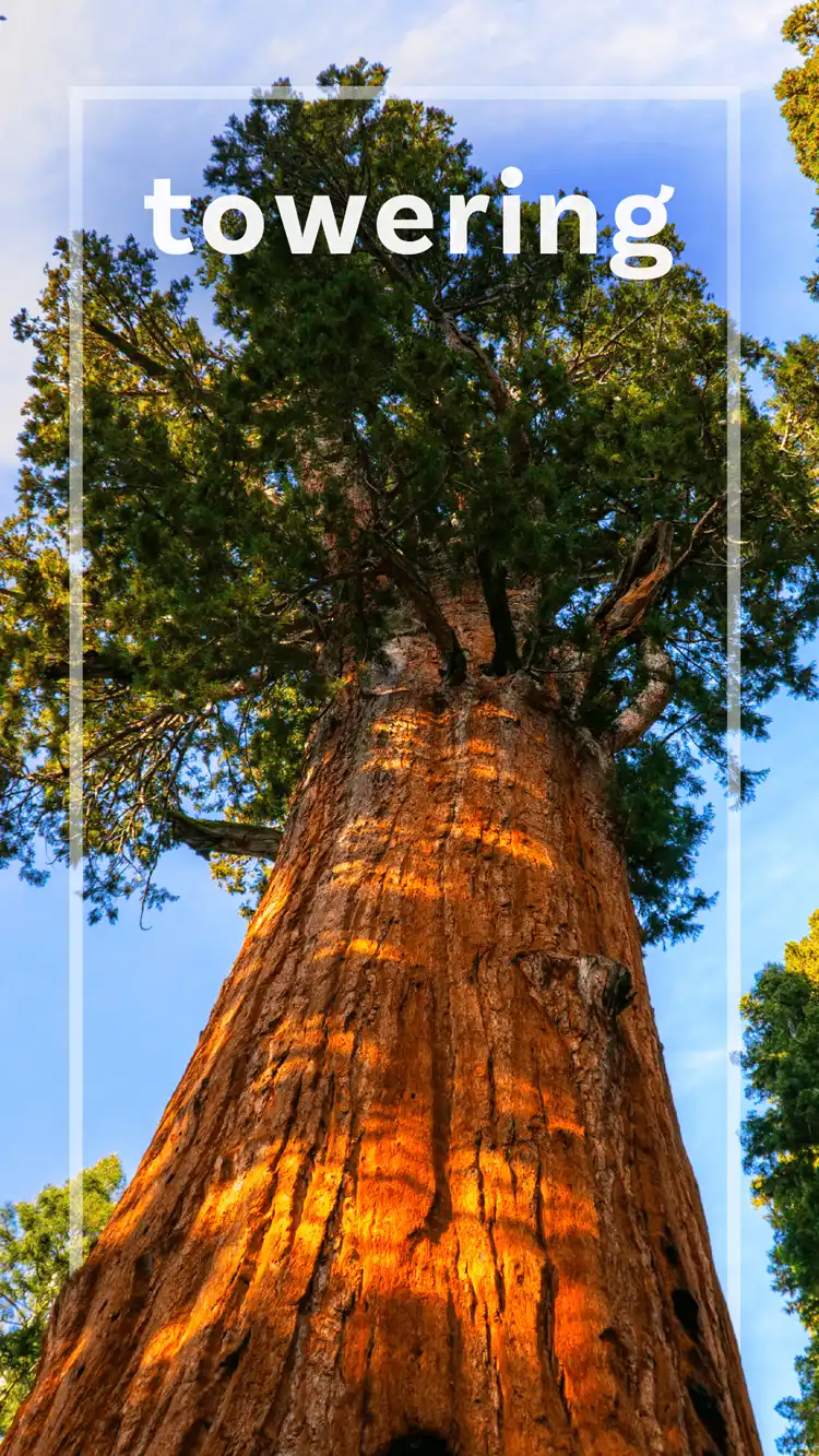 One Word Impact  Towering