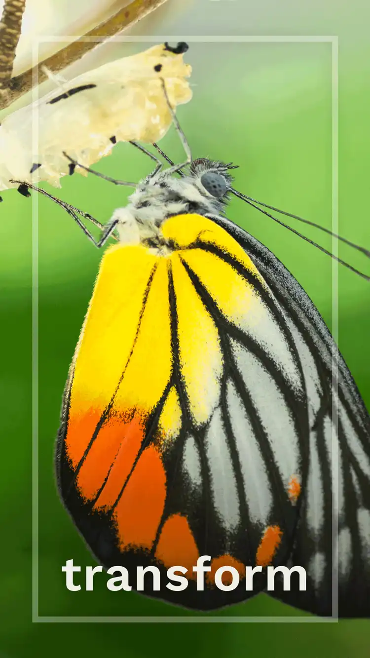 One Word Impact  Transform