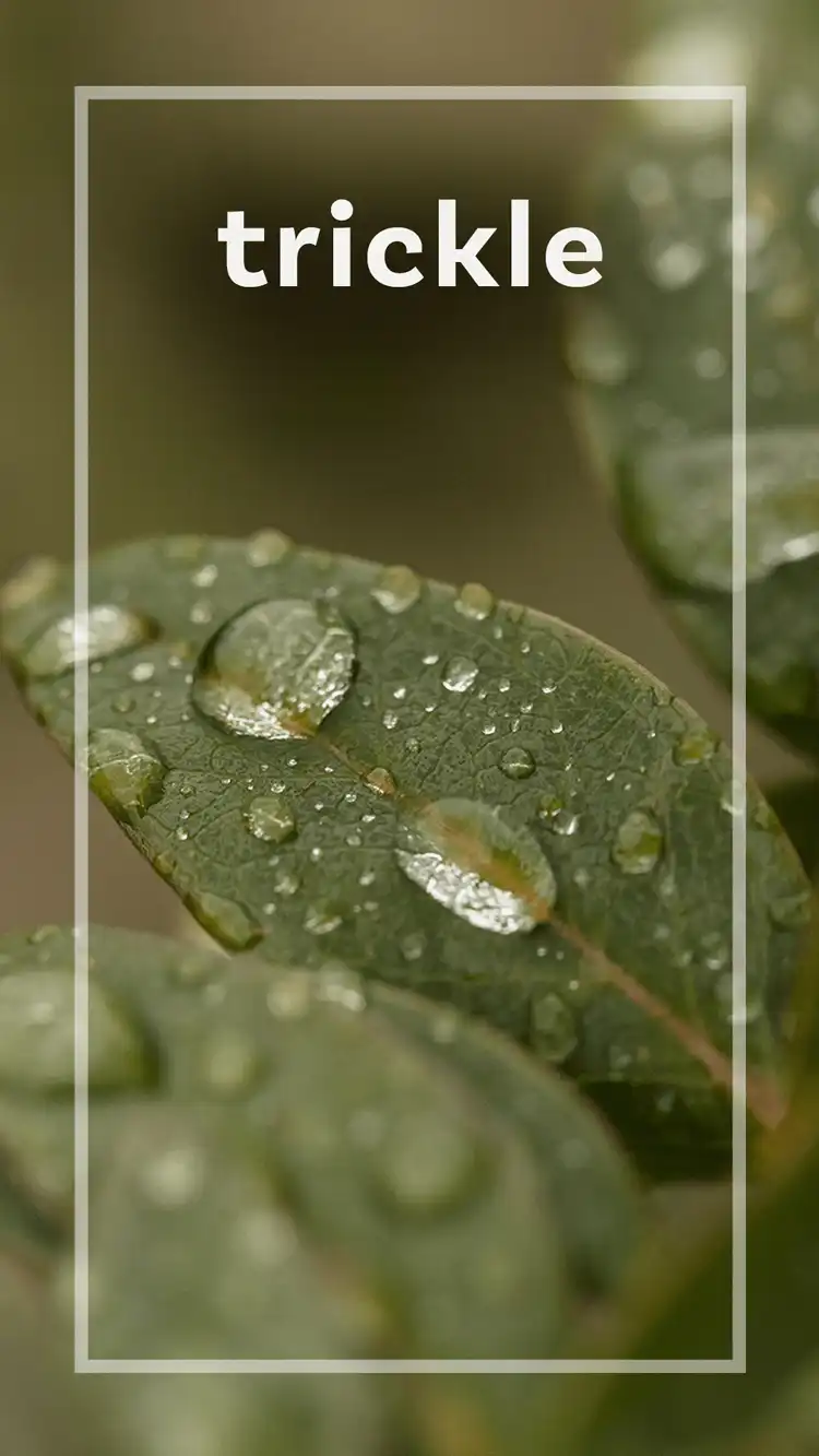 One Word Impact  Trickle