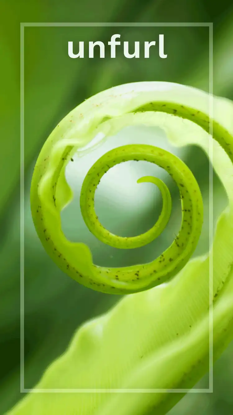 One Word Impact  Unfurl