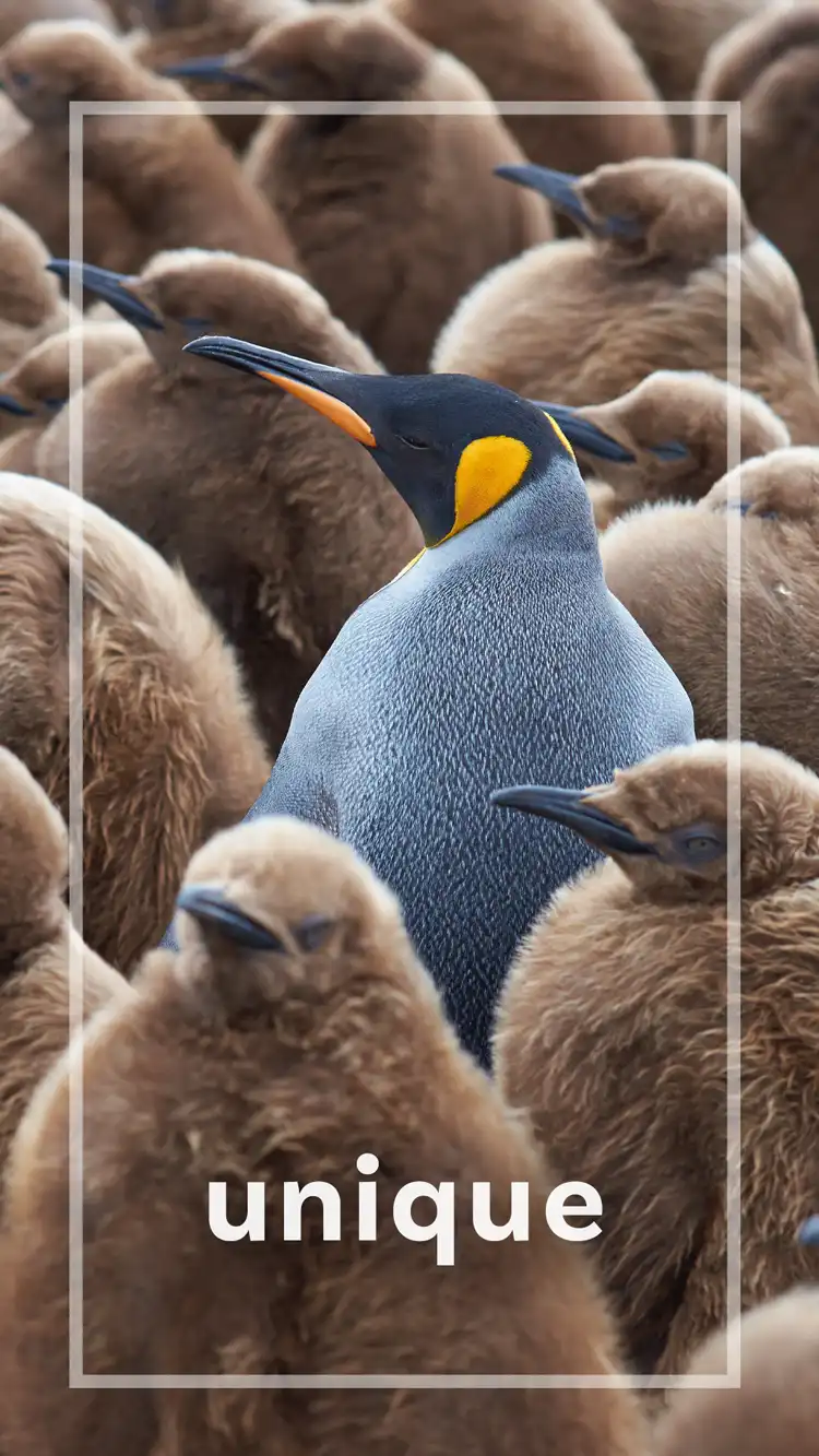 One Word Impact  Unique