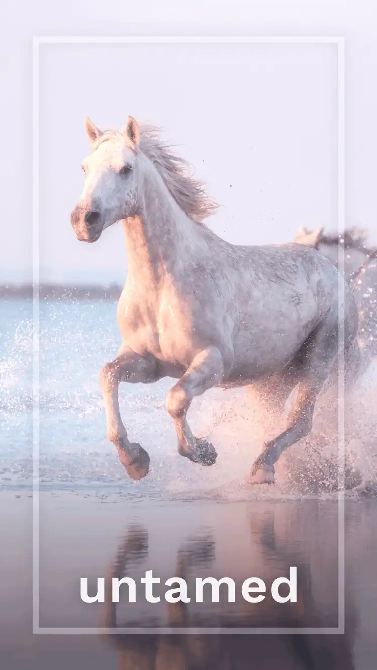 One Word Impact  Untamed