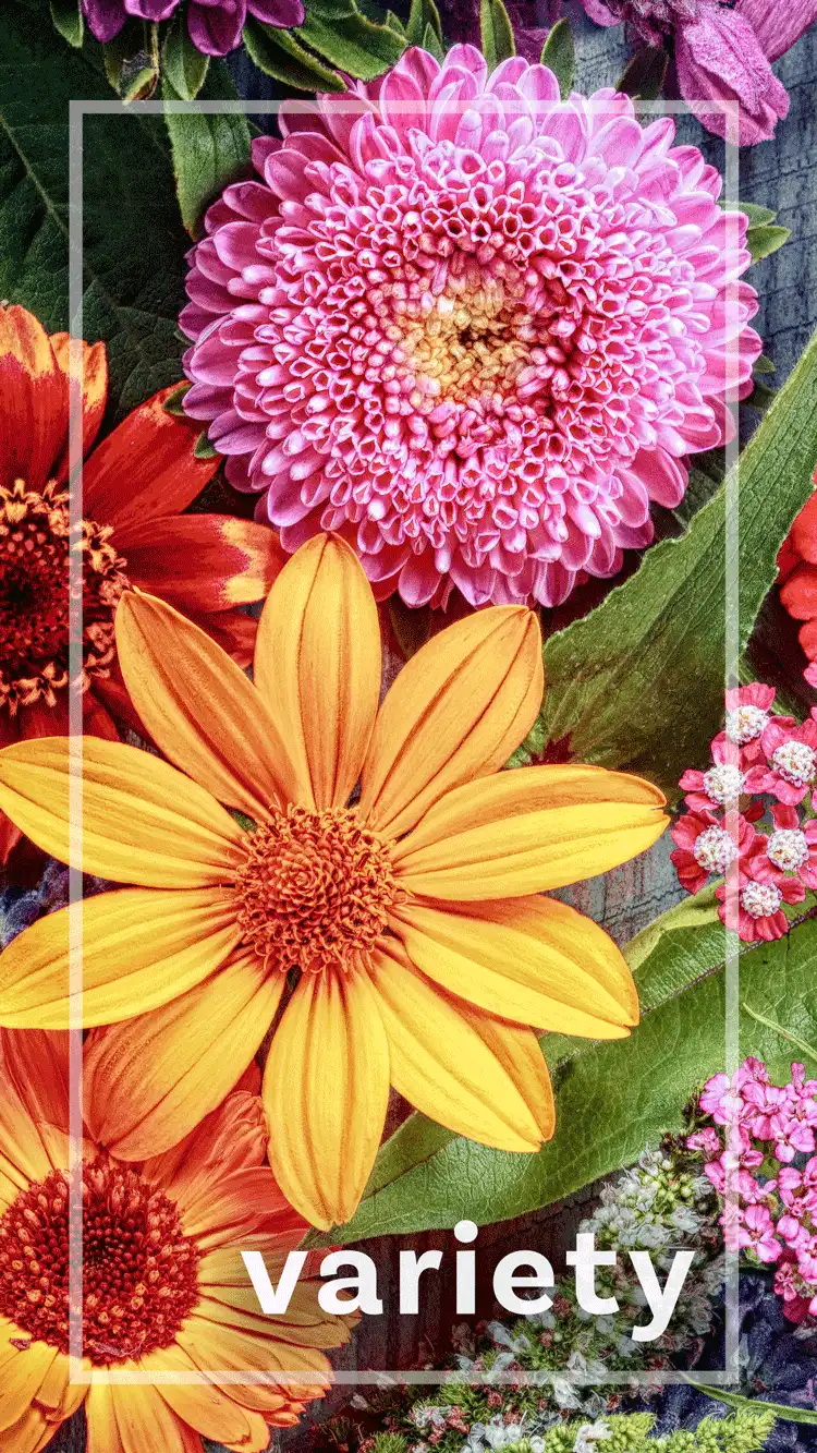 One Word Impact  Variety