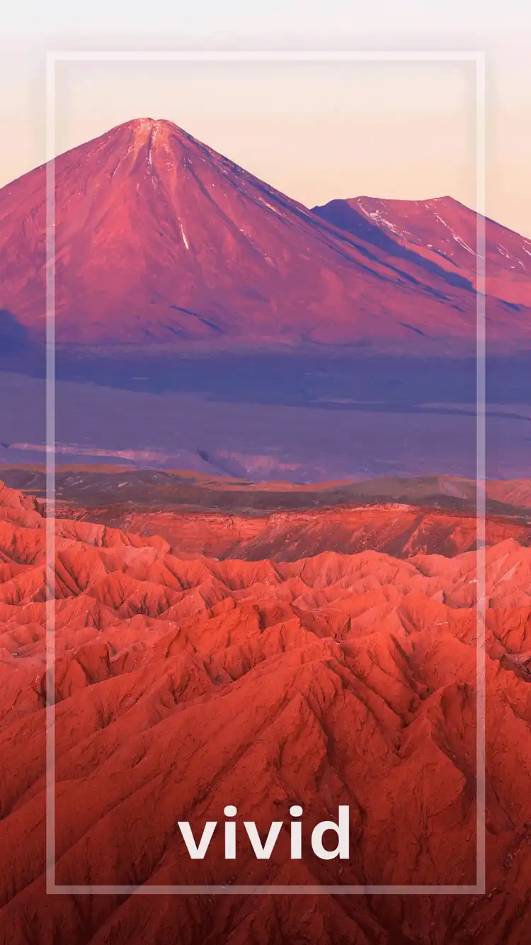 One Word Impact  Vivid